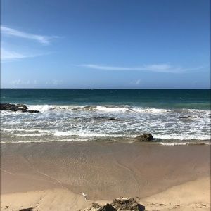 Meet your Posher, Ray